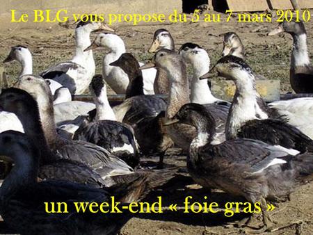 Le BLG vous propose du 5 au 7 mars 2010 un week-end « foie gras »