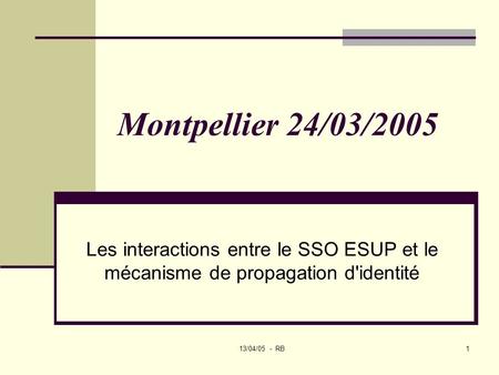 13/04/05 - RB1 Montpellier 24/03/2005 Les interactions entre le SSO ESUP et le mécanisme de propagation d'identité