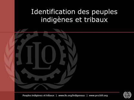 Identification des peuples indigènes et tribaux