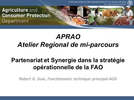 APRAO Atelier Regional de mi-parcours Partenariat et Synergie dans la stratégie opérationnelle de la FAO Robert G. Guei, Fonctionnaire technique principal-AGD.