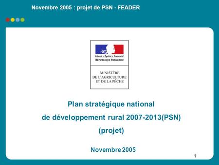 Plan stratégique national de développement rural (PSN)