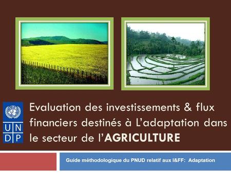 Evaluation des investissements & flux financiers destinés à Ladaptation dans le secteur de lAGRICULTURE Guide méthodologique du PNUD relatif aux I&FF: