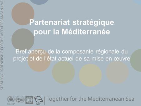 Partenariat stratégique pour la Méditerranée