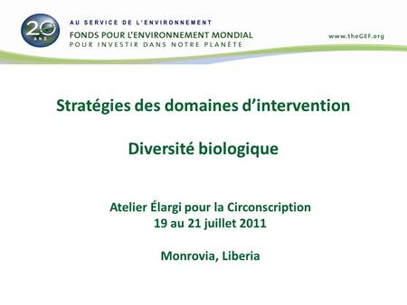 Stratégies des domaines dintervention Diversité biologique Atelier Élargi pour la Circonscription 19 au 21 juillet 2011 Monrovia, Liberia.
