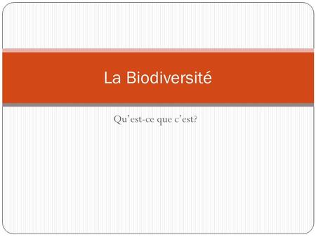La Biodiversité Qu’est-ce que c’est?.