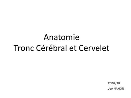 Anatomie Tronc Cérébral et Cervelet