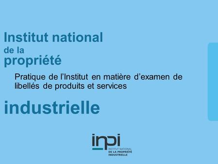 Industrielle Institut national de la propriété Pratique de lInstitut en matière dexamen de libellés de produits et services.