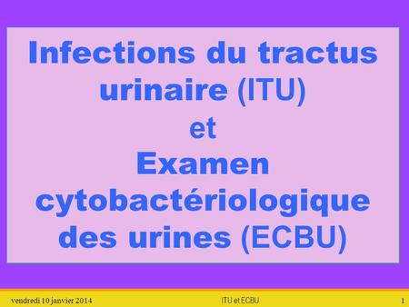Infections du tractus urinaire (ITU) et Examen cytobactériologique des urines (ECBU) dimanche 26 mars 2017 ITU et ECBU.