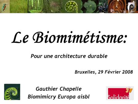 Pour une architecture durable Biomimicry Europa aisbl