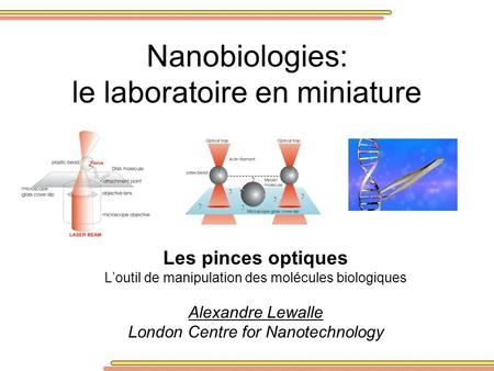 Nanobiologies: le laboratoire en miniature