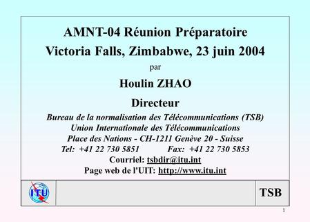 TSB 1 AMNT-04 Réunion Préparatoire Victoria Falls, Zimbabwe, 23 juin 2004 par Houlin ZHAO Directeur Bureau de la normalisation des Télécommunications (TSB)