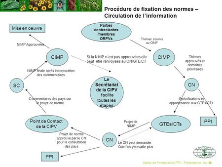 Procédure de fixation des normes – Circulation de linformation Atelier de Formation du PPI – Présentation. no. 4b Parties contractantes /membres ORPVs.