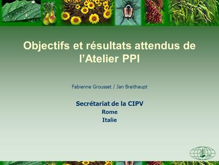 Objectifs et résultats attendus de lAtelier PPI Fabienne Grousset / Jan Breithaupt Secrétariat de la CIPV Rome Italie.