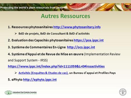 Autres Ressources 1. Ressources phytosanitaires  BdD de projets, BdD de Consultant & BdD dactivités.