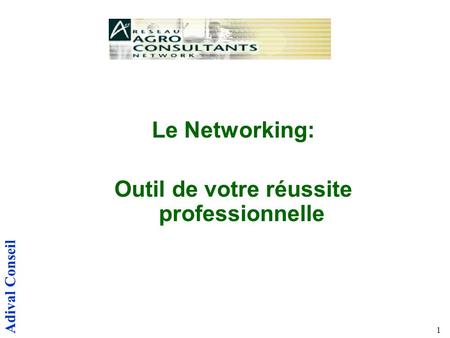 Adival Conseil 1 Le Networking: Outil de votre réussite professionnelle.
