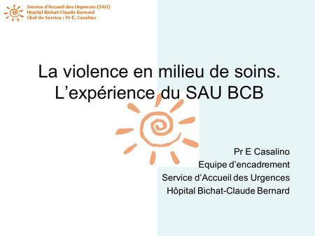 La violence en milieu de soins. L’expérience du SAU BCB