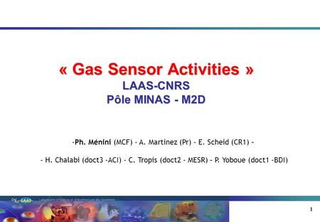 « Gas Sensor Activities » LAAS-CNRS
