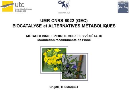 UMR CNRS 6022 (GEC) BIOCATALYSE et ALTERNATIVES MÉTABOLIQUES