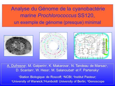 Analyse du Génome de la cyanobactérie marine Prochlorococcus SS120, un exemple de génome (presque) minimal A. Dufresne 1, M. Galperin 2, K. Makarova 2,