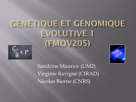 Génétique et Génomique Evolutive 1 (FMOV205)