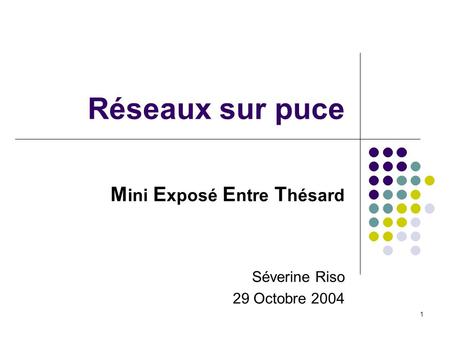 Mini Exposé Entre Thésard Séverine Riso 29 Octobre 2004