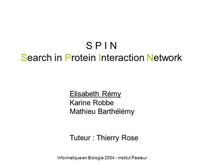 Informatique en Biologie 2004 - Institut Pasteur S P I N Search in Protein Interaction Network Elisabeth Rémy Karine Robbe Mathieu Barthélémy Tuteur :
