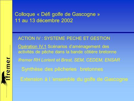 Colloque « Défi golfe de Gascogne » 11 au 13 décembre 2002 Synthèse des pêcheries bretonnes ACTION IV : SYSTEME PECHE ET GESTION Opération IV.1 Scénarios.