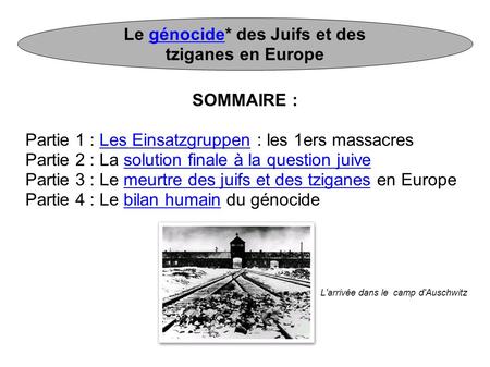 Le génocide* des Juifs et des tziganes en Europe