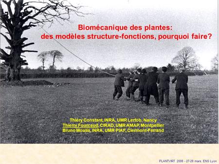 Biomécanique des plantes: