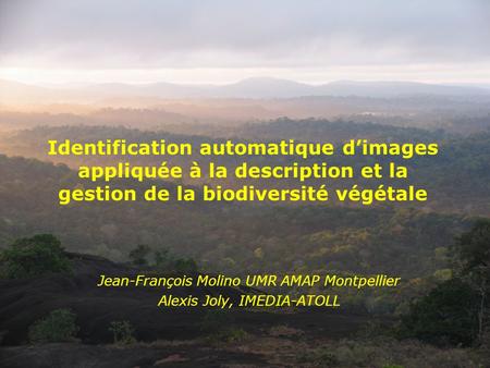 Identification automatique d’images appliquée à la description et la gestion de la biodiversité végétale Jean-François Molino UMR AMAP Montpellier Alexis.