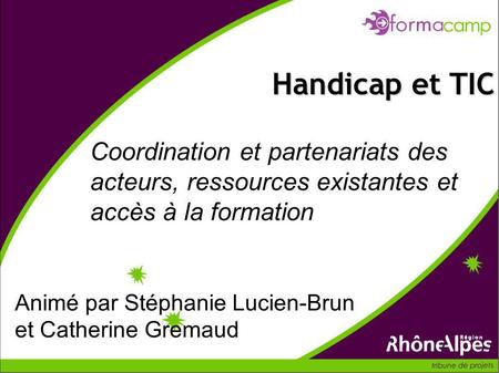 Coordination et partenariats des acteurs, ressources existantes et accès à la formation Handicap et TIC Animé par Stéphanie Lucien-Brun et Catherine Gremaud.