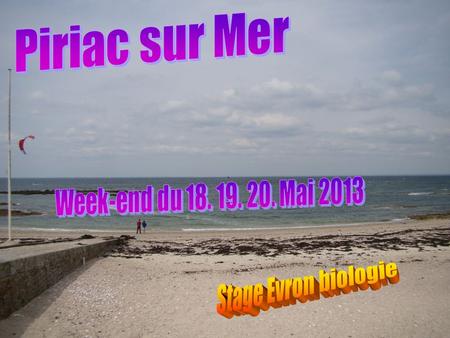 Piriac sur Mer Week-end du 18. 19. 20. Mai 2013 Stage Evron biologie.