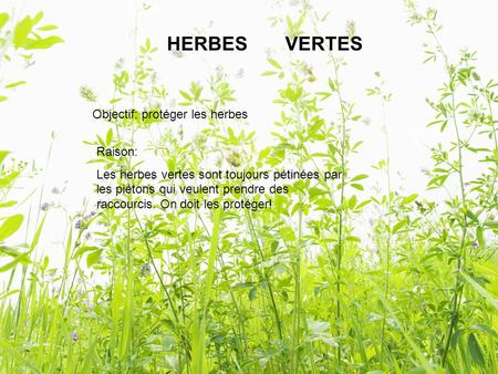 HERBES VERTES Objectif: protéger les herbes Raison: Les herbes vertes sont toujours pétinées par les piétons qui veulent prendre des raccourcis. On doit.