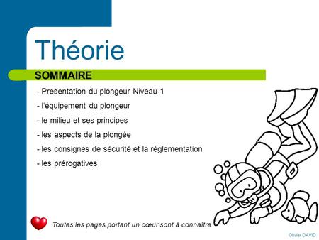 Théorie SOMMAIRE - Présentation du plongeur Niveau 1