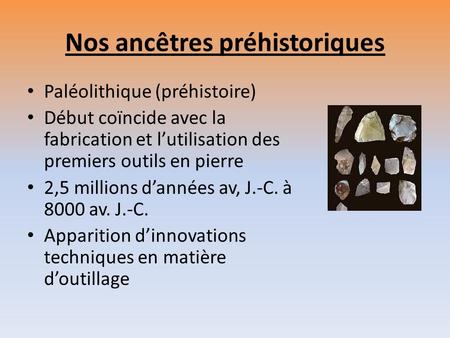 Nos ancêtres préhistoriques