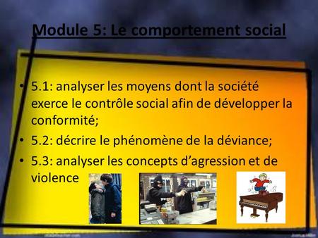 Module 5: Le comportement social