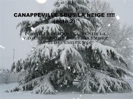 CANAPPEVILLE SOUS LA NEIGE !!!!! (acte 2) Photo et commentaires de la vague de froid du 17 décembre au 22 décembre 2010.