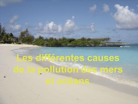 Les différentes causes de la pollution des mers