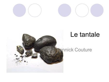 Le tantale Yannick Couture.