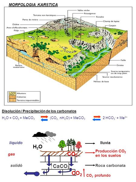 CO2 CO2 Phases H2O CaCO3 MORFOLOGIA KARSTICA liquido lluvia