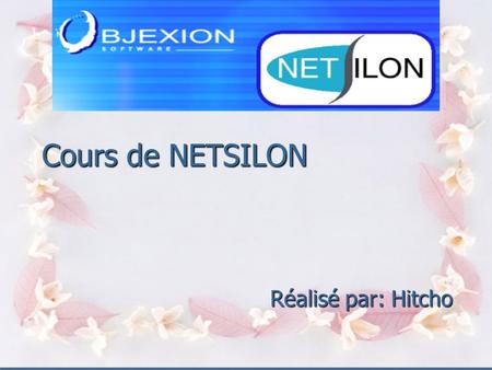 Cours de NETSILON Réalisé par: Hitcho introduction Netsilon est un logiciel qui permet de concevoir une application web avec PHP.