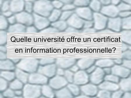 Quelle université offre un certificat en information professionnelle?