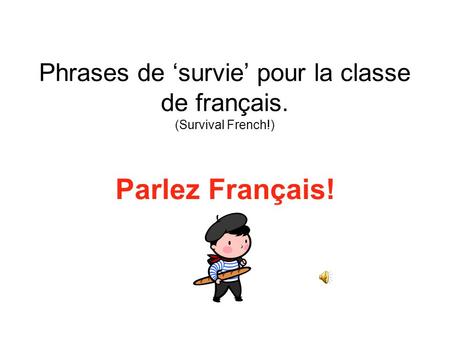 Phrases de ‘survie’ pour la classe de français. (Survival French!)