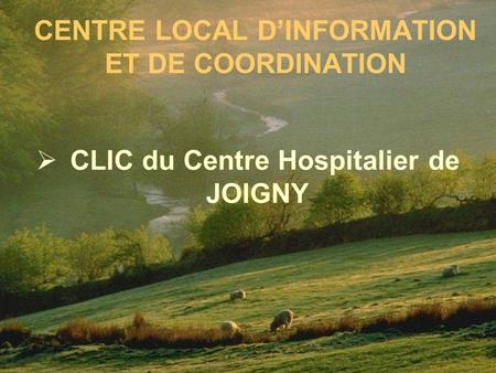 CENTRE LOCAL D’INFORMATION ET DE COORDINATION