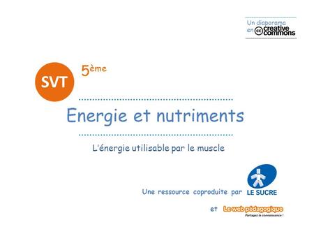 5ème SVT Energie et nutriments L’énergie utilisable par le muscle.