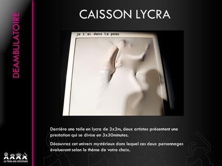 CAISSON LYCRA Derrière une toile en lycra de 2x2m, deux artistes présentent une prestation qui se divise en 3x30minutes. Découvrez cet univers mystérieux.
