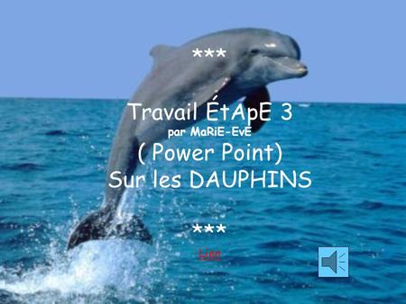Les dauphins Les mammifères marins me fascinent depuis toujours surtout les dauphins. Ils sont dotés d’une intelligence incroyable et d’une vitesse hors.