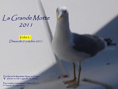 La Grande Motte 2011 Volet 2 Dimanche 2 octobre 2011 Volet 3 :