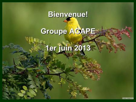 Bienvenue! Groupe AGAPE 1er juin 2013