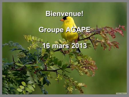Bienvenue! Groupe AGAPE 16 mars 2013